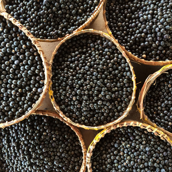 SAMBAZON believes in transparency and offering the highest quality, which being ethically sourced, transported and processed.